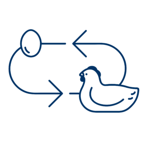 Circular Definition - Chicken and Egg